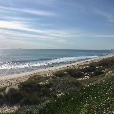 Ocean Beach Backpackers Hostel Perth Bagian luar foto